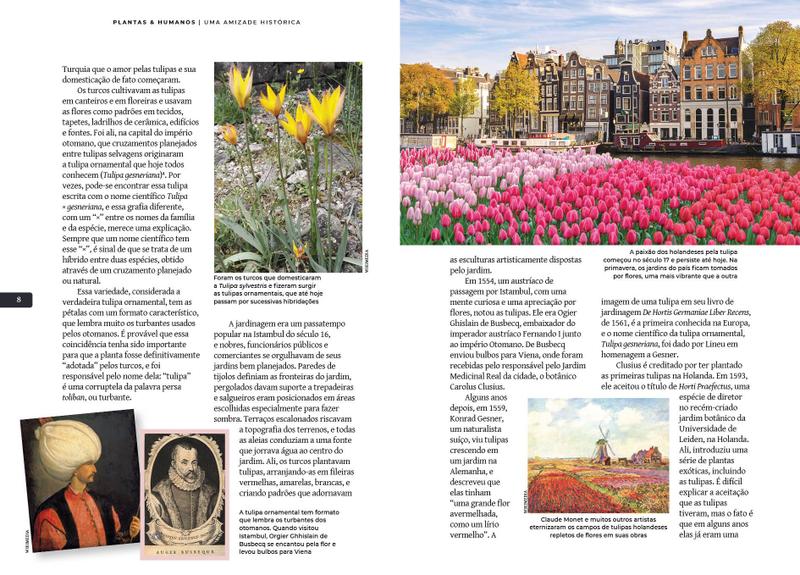 Livro - Plantas & Humanos, uma Amizade Histórica: Plantas para Jardim Imagem de Livro - Plantas & Humanos, uma Amizade Histórica: Plantas para Jardim