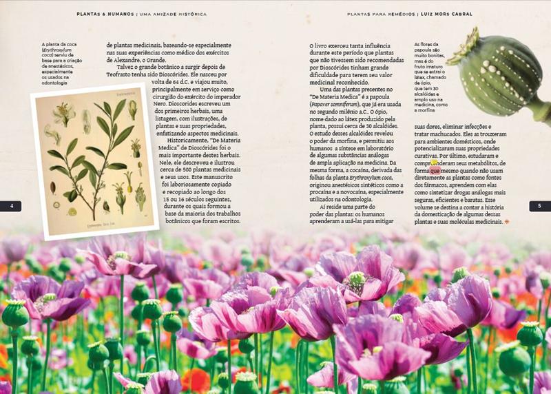 Imagem de Livro - Plantas & Humanos, uma Amizade Histórica: Plantas para Remédios