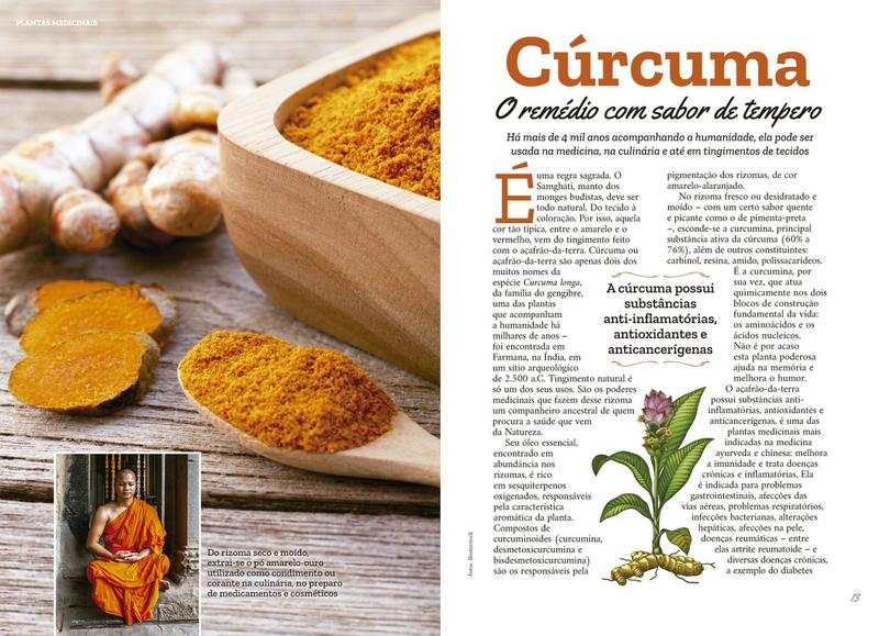 Imagem de Livro - Plantas Medicinais Volume 1: Receitas para fortalecer a IMUNIDADE