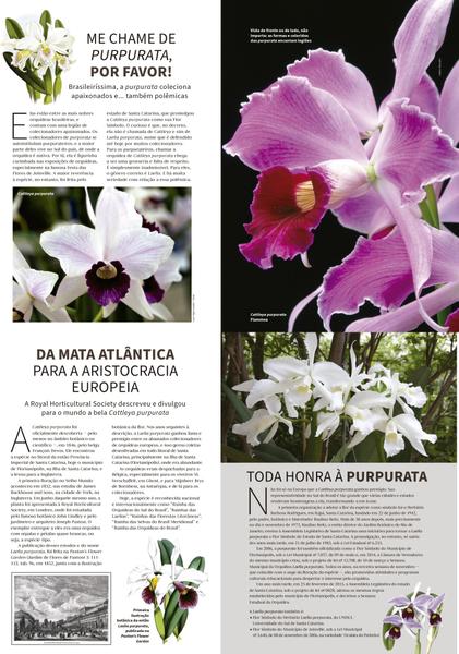 Imagem de Livro - Poster Mestre Das Orquideas - As Mais Belas Orquideas - Catleias