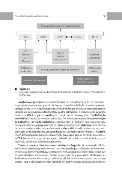 Imagem de Livro - Psicogeriatria