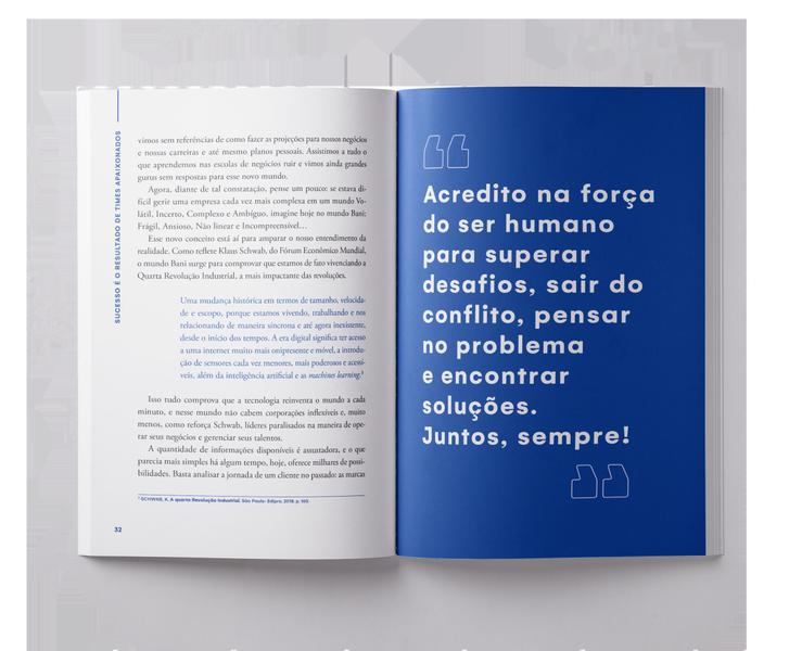 Livro - Sucesso é o resultado de times apaixonados Imagem de Livro - Sucesso é o resultado de times apaixonados