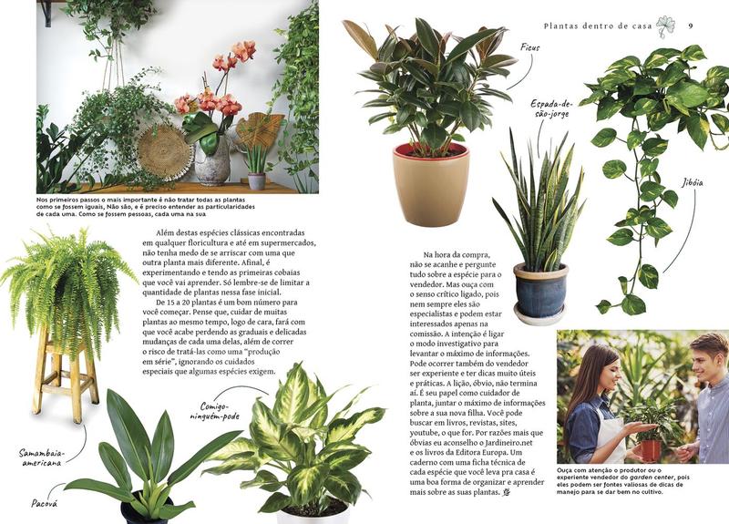 Imagem de Livro - Urban Jungle - Plantas Dentro de Casa - Raquel Patro