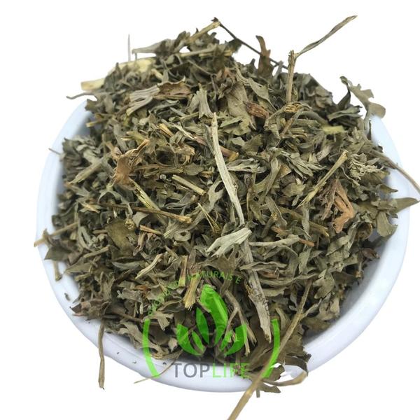 Imagem de Losna 1Kg (Artemisia absinthium)