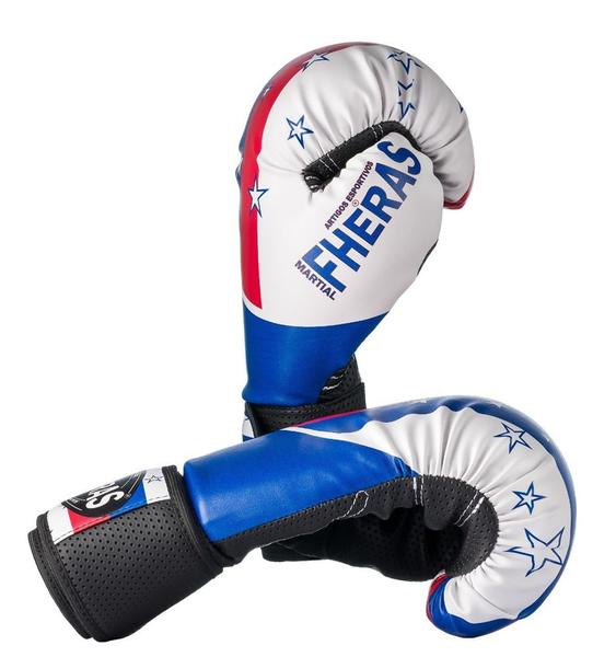 Imagem de Luvas Boxe Muay Thai - American Star - Fheras - 12 / 14 OZ