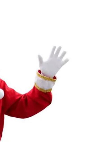 Luvas Brancas De Papai Noel Curta 20Cm - Lynx Produções Imagem de Luvas Brancas De Papai Noel Curta 20Cm