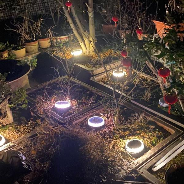 Imagem de Luzes de gramado decorativas impermeáveis, noite do jardim doméstico