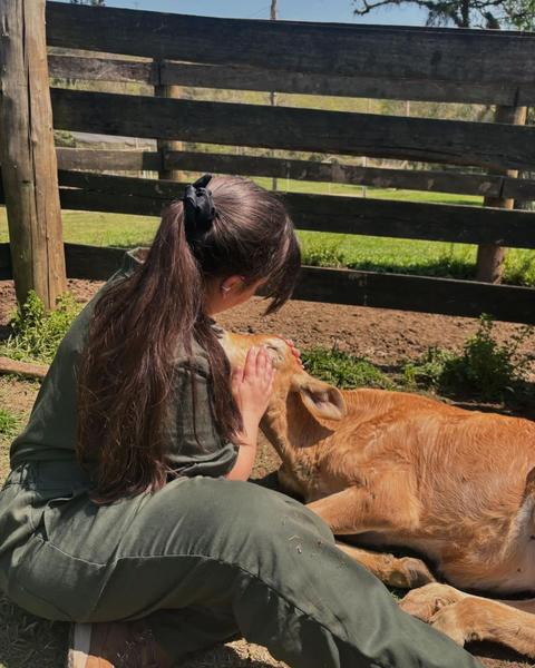 Imagem de Macacão Veterinário Femenino / Brim leve 100% Algodão - Manga Curta Verde Escuro Musgo.