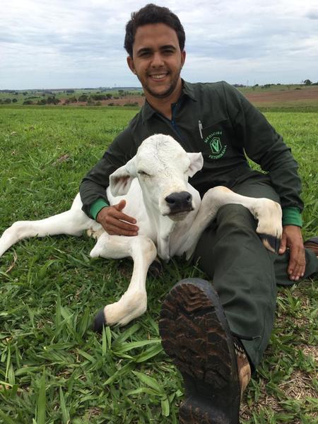 Imagem de Macacão Veterinário Masculino Verde Bandeira Manga Curta.