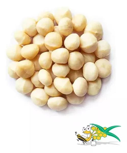 Imagem de Macadamia torrada Com Sal Novinha e Crocante 1 kg