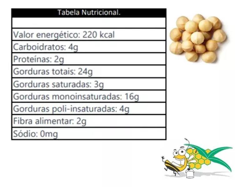Imagem de Macadamia torrada Com Sal Novinha e Crocante 500g - 1/2 kg