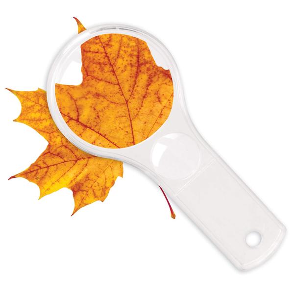 Magnifiers Learning Resources, conjunto de 10 lentes duplas Imagem de Magnifiers Learning Resources, conjunto de 10 lentes duplas