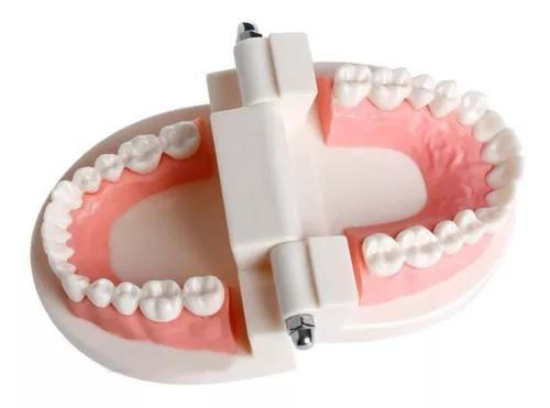 Imagem de Manequim Modelo Dentário Odonto Boca Inteira Dente