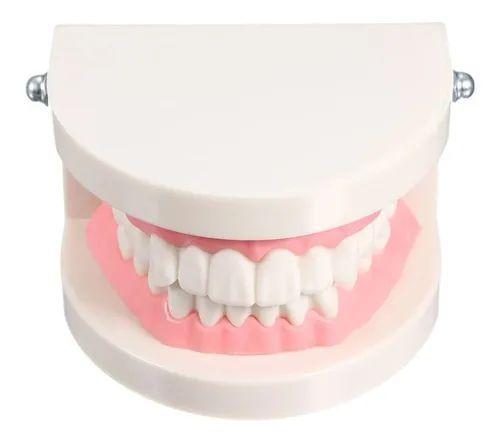 Imagem de Manequim Modelo Dentário Odonto Boca Inteira Dente