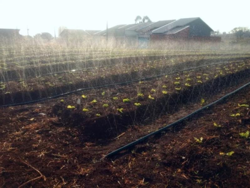 Imagem de Mangueira Irrigação Microperfurada 100 Metros Santeno 1 