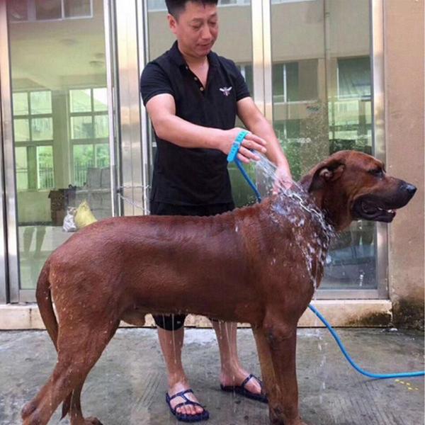 Imagem de Mangueira Luva Lava Facil Banho Cachorro Gato - Massageadora