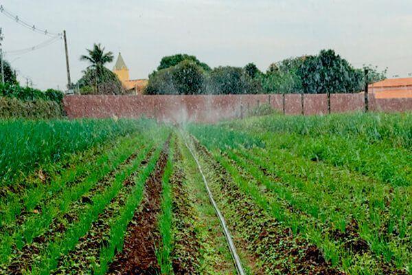 Imagem de Mangueira Santeno 1 Irrigação Microperfurada 100m