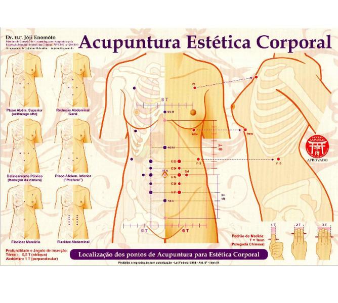 Imagem de Mapa - Acupuntura Estética Corporal - Profº Franco Joji Enomoto