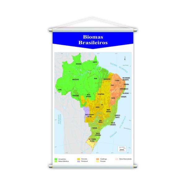 Imagem de Mapa Brasil + Bandeiras + Biomas Kit 3 Banners 80X50Cm