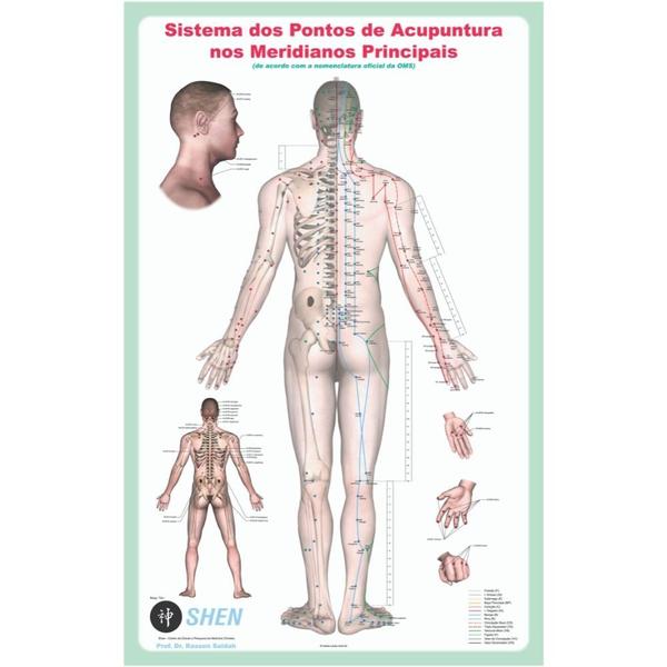 Imagem de Mapa - Sistema dos Ptos de acupuntura nos Meridianos Principais - SEM CANALETA