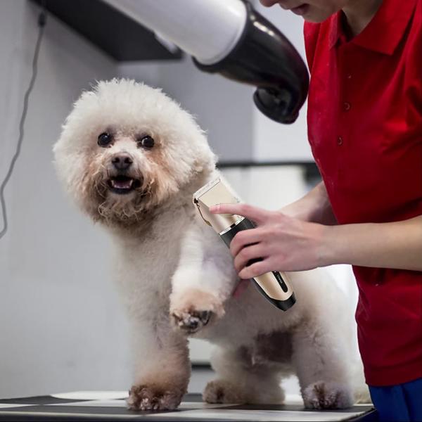 Imagem de Máquina De Tosa Para Pets Corta Pelo Sem Fio Cachorros Gatos e Coelhos