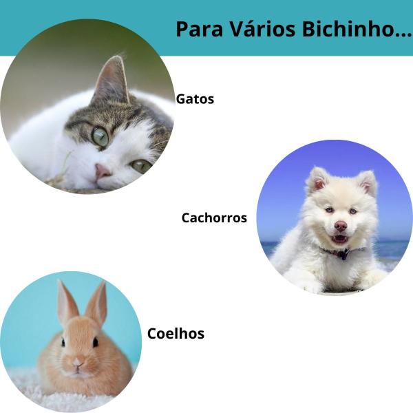 Imagem de Máquina de Tosa Profissional para Cães e Gatos  Kit Completo BIVOLT