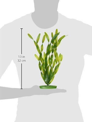 Imagem de Marina Aquascaper Fish Tank Decorações, Jungle Vallisneria Plant, 12-Inch