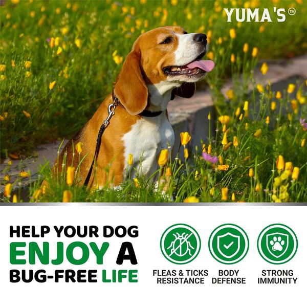 Imagem de Mastigáveis para prevenção de pulgas e carrapatos YUMA'S para cães 1,1-50 kg