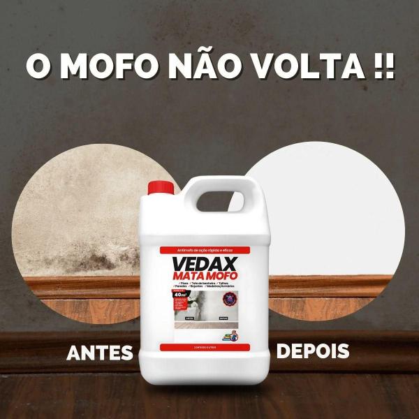 Mata Mofo Vedax Não Volta Anti Mofo Parede Teto Piso 5Lt Imagem de Mata Mofo Vedax Não Volta Anti Mofo Parede Teto Piso 5Lt