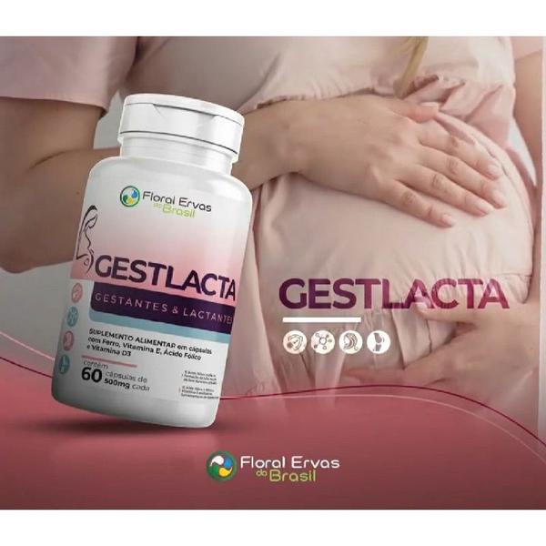 Imagem de Mater Gestlacta Acido Folico Ferro 360 cápsulas 500 mg 6 frascos x 60 caps