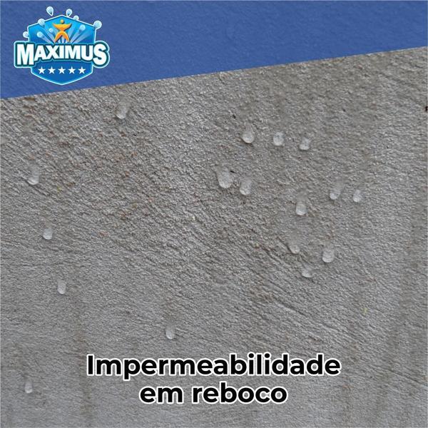 Imagem de Maximus - Aditivo  Impermeabilizante 