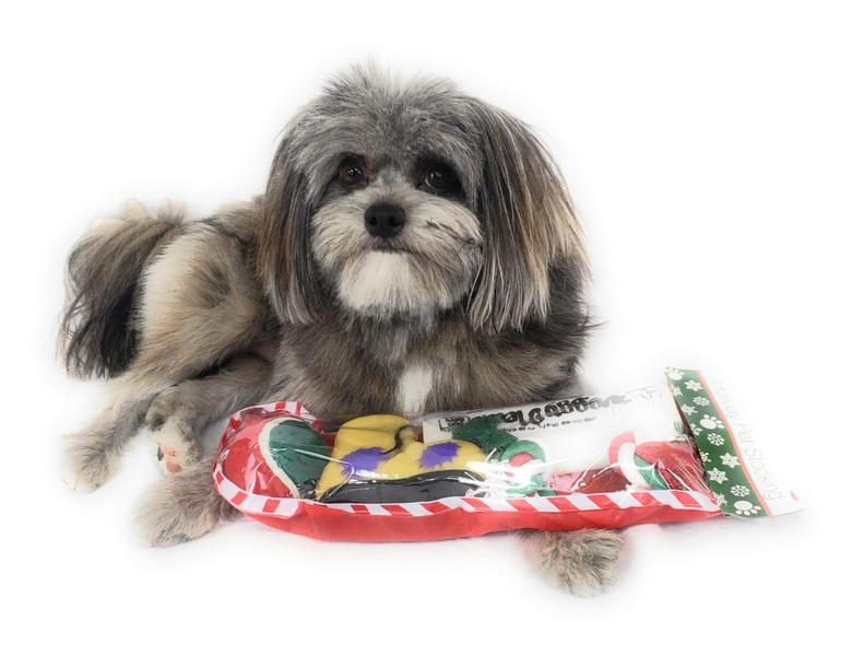 Imagem de Meia de Natal para cães. Pacote de brinquedo de jornal Squeaky, brinquedo de bota estridez, uma bola de tênis vermelha, verde e branca e uma corda de algodão vermelho, branco e verde.