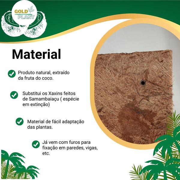 Imagem de Meio vaso com placa vaso xaxim fibra de coco ecologico n1 - 13cm Gold Plant