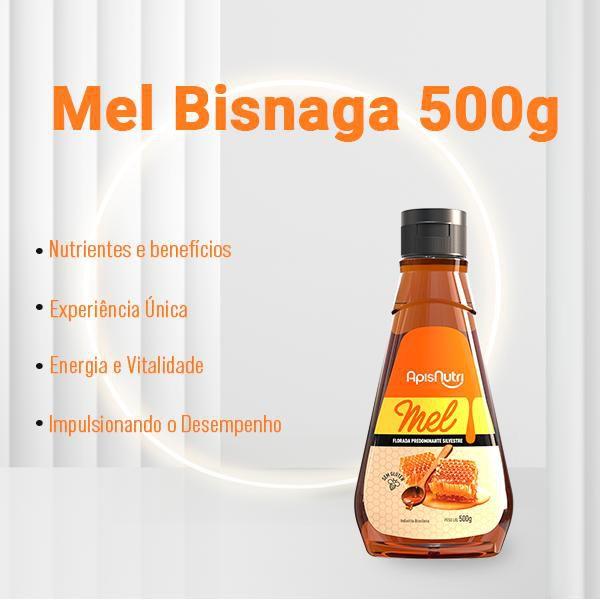 Imagem de Mel Bisnaga 500g - ApisNutri