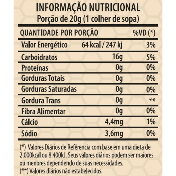 Imagem de Mel Bisnaga Apisnutri 310g