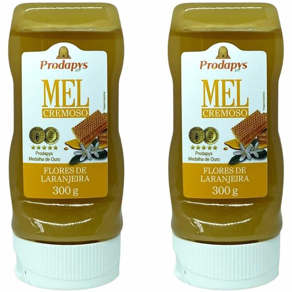 Imagem de Mel Cremoso Flores de Laranjeira 300g Kit com 2 - Prodapys