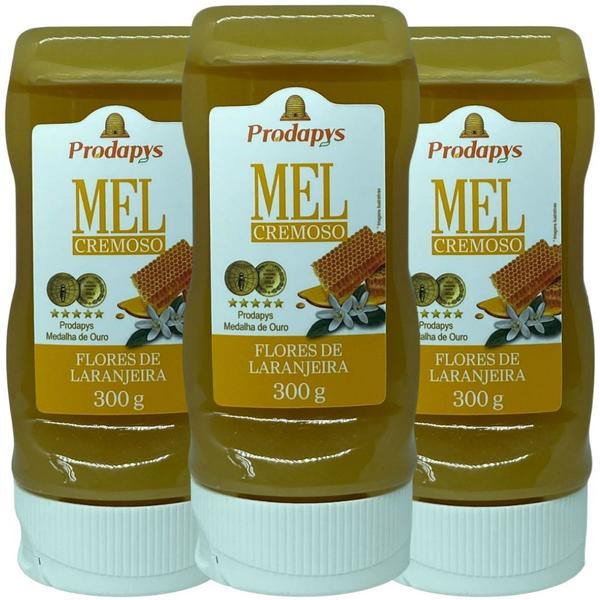 Mel Cremoso Flores de Laranjeira 300g Kit com 3 - Prodapys Imagem de Mel Cremoso Flores de Laranjeira 300g Kit com 3 - Prodapys
