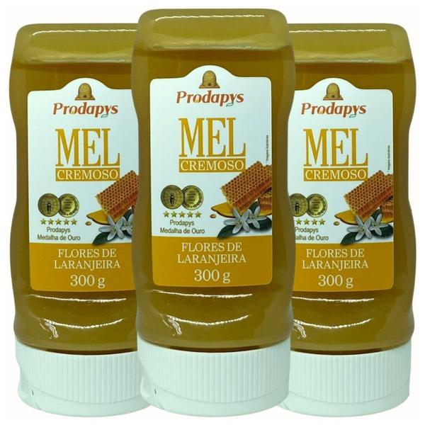Mel Cremoso Flores de Laranjeira 300g Kit com 3 - Prodapys Imagem de Mel Cremoso Flores de Laranjeira 300g Kit com 3 - Prodapys