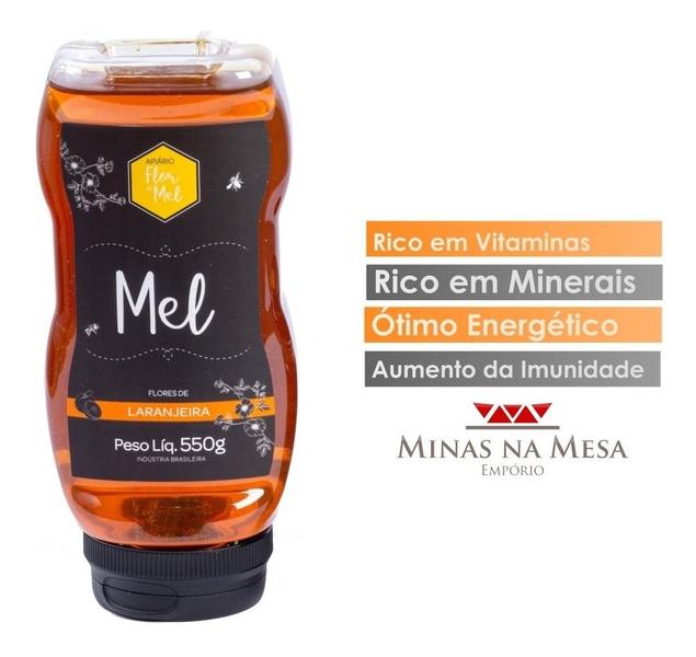 Imagem de Mel De Abelha Puro Florada De Laranjeira - Premium 550g