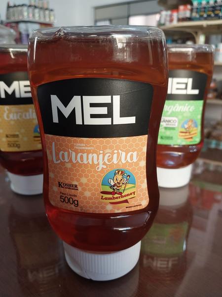 Mel florada Laranjeira Apiário Lambertucci 500g - Apiários Lambertucci Imagem de Mel florada Laranjeira Apiário Lambertucci 500g