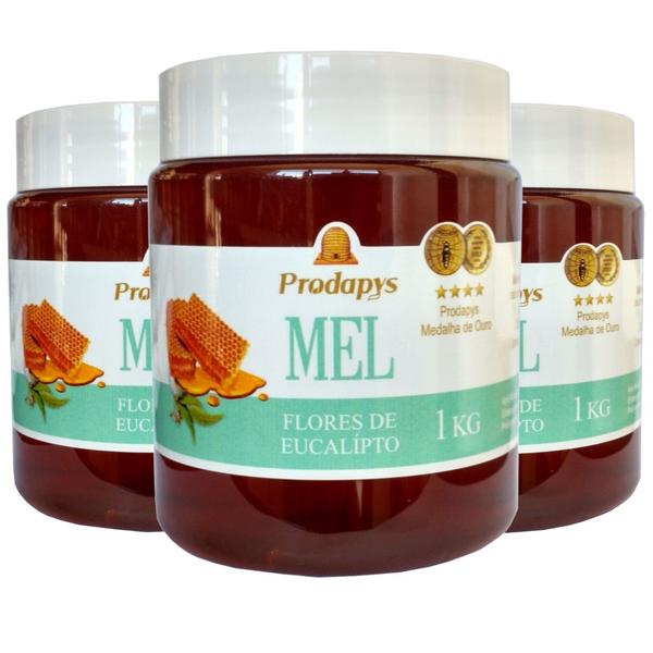 Mel Flores de Eucalipto 1kg - Eleito o Melhor Mel do Mundo Kit com 3 - Prodapys Imagem de Mel Flores de Eucalipto 1kg - Eleito o Melhor Mel do Mundo Kit com 3