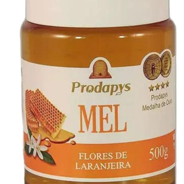 Imagem de Mel Flores de Laranjeira 500g - Eleito o Melhor Mel do Mundo