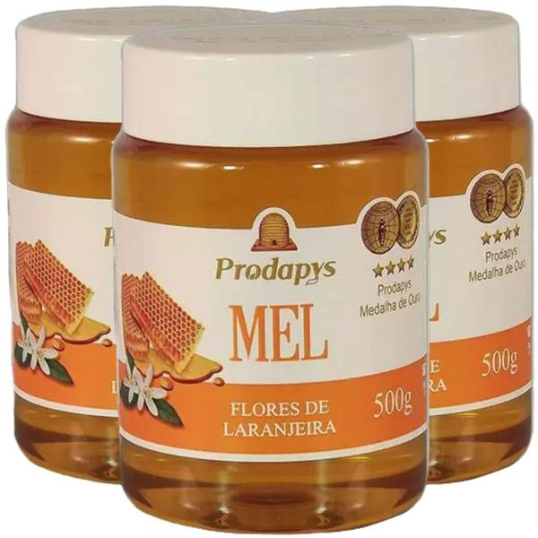 Mel Flores de Laranjeira 500g Kit com 3 - Prodapys Imagem de Mel Flores de Laranjeira 500g Kit com 3