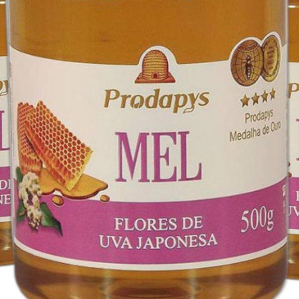 Mel Flores de Laranjeira 500g Kit com 3 - Prodapys Imagem de Mel Flores de Laranjeira 500g Kit com 3