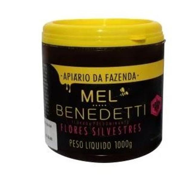 Imagem de Mel Flores Silvestres Benedetti 1000g