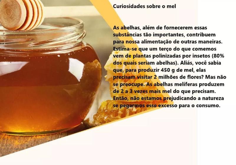 Mel Líquido Flora Néctar - 1kg Imagem de Mel Líquido Flora Néctar - 1kg