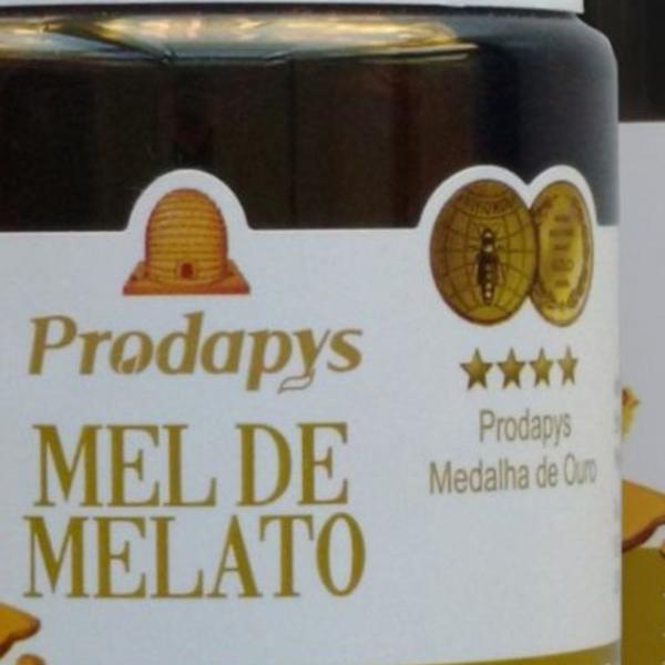 Imagem de Mel Melato de Bracatinga 1kg Kit com 3