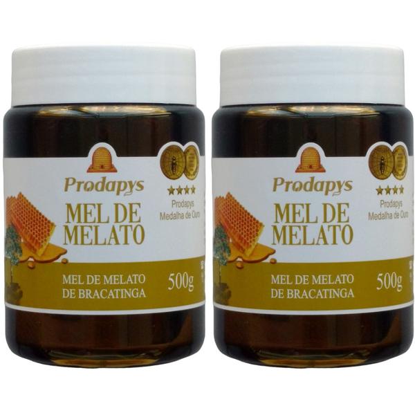 Mel Melato de Bracatinga 500g Kit com 2 - Prodapys Imagem de Mel Melato de Bracatinga 500g Kit com 2