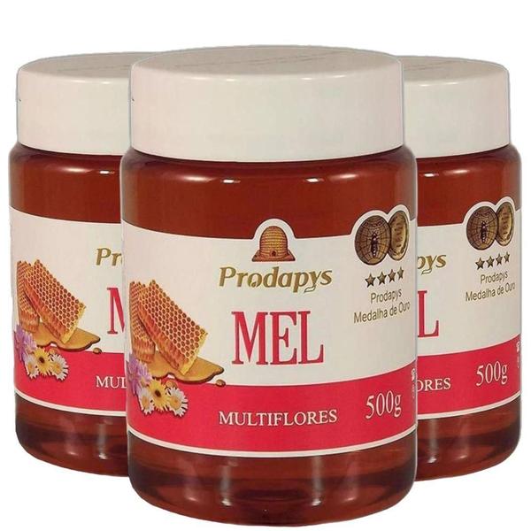 Mel Multiflores 500G Prodapys Kit Com 3 Imagem de Mel Multiflores 500G Prodapys Kit Com 3