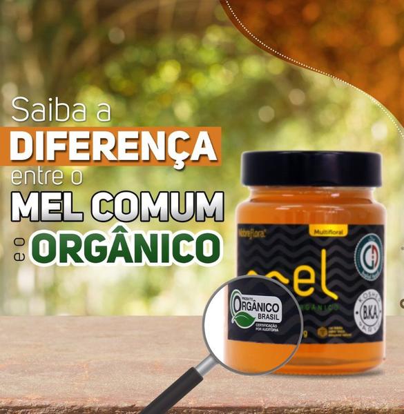 Imagem de Mel Orgânico Multiflora 100% Puro 500g NobreFlora Breyer